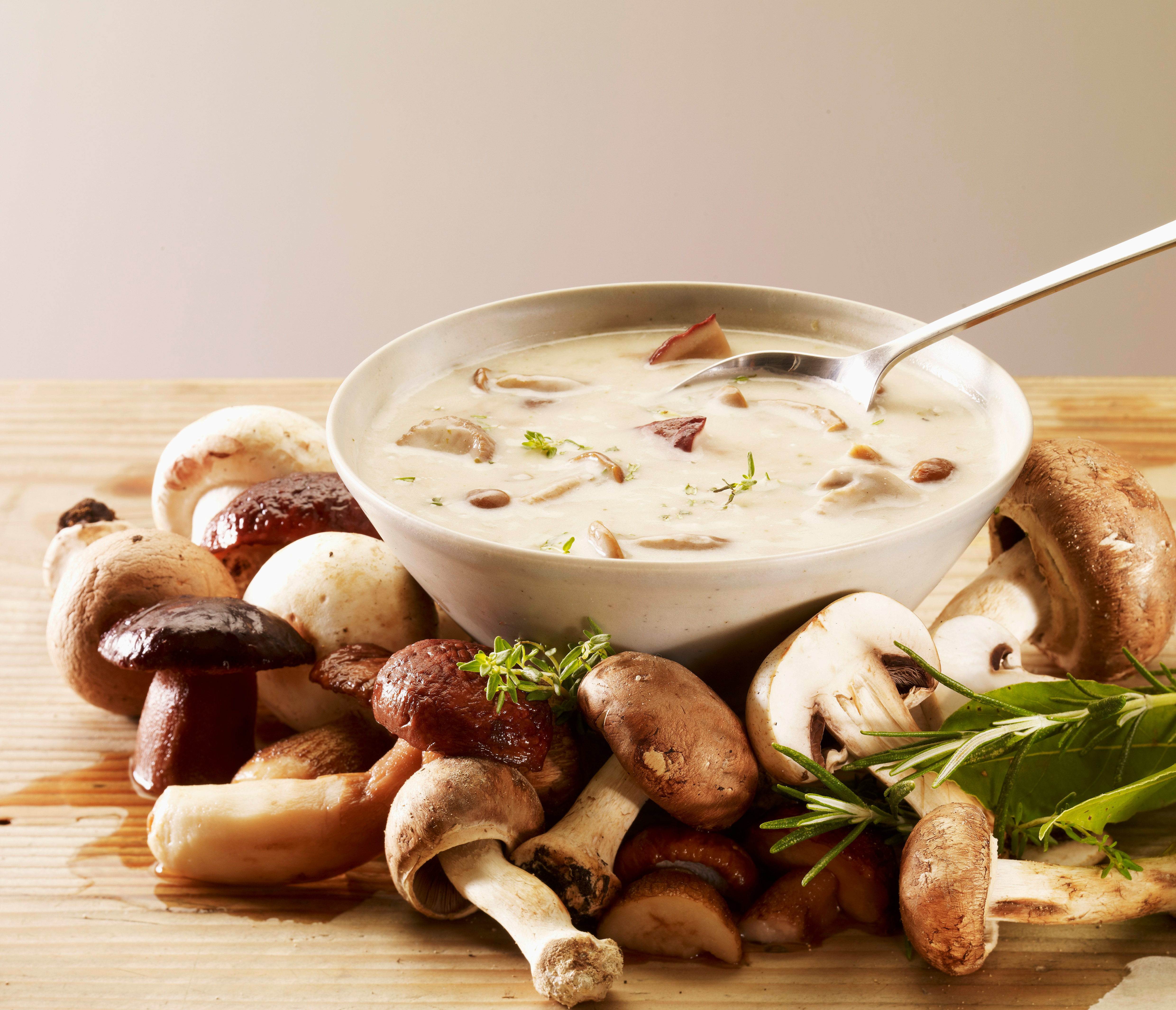 Velouté de champignons & pignons de pin